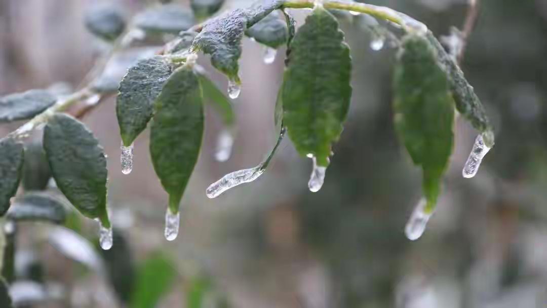 【完整榜单：河南将迎大范围雨雪，事关你我生活的每一刻！】近日，一份刚刚出炉的