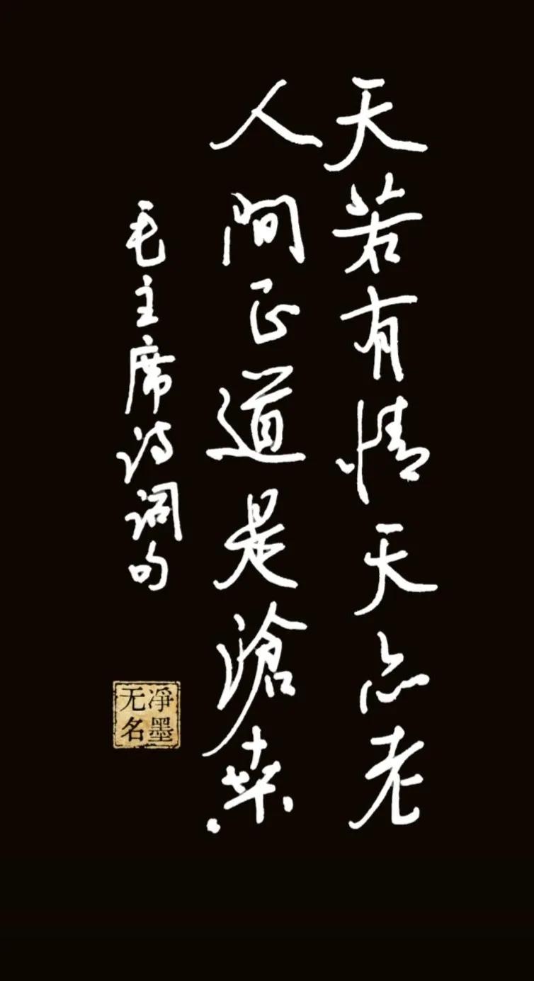 钢笔书写右列：天若有情天亦老左列：人间正道是沧桑左侧落款：毛主席诗词句书