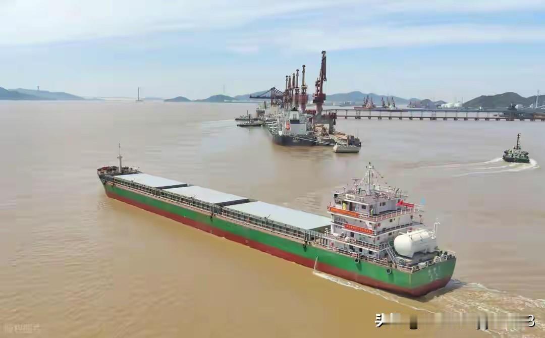 我跑长江货运这行快十年了，每次听货主说“万吨轮到重庆”，心里都忍不住叹气——