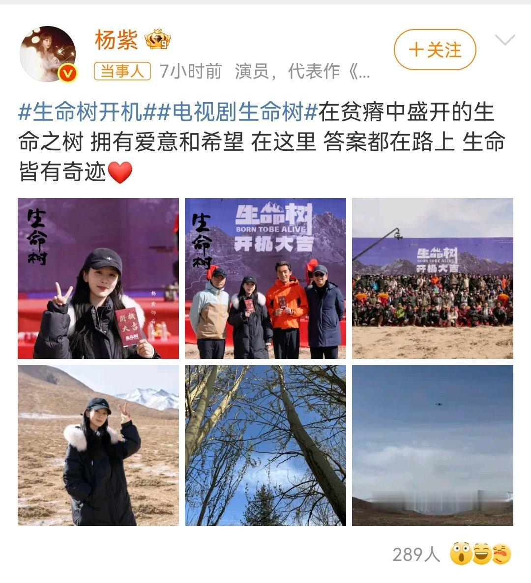 杨紫生命树开机plog在长相思1之前，她有好几部剧的表演都流于套路化，就演