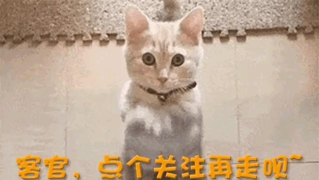 她用21年时间，证明了一件事：社会对顶级女性的审判，到最后，只剩私生活。51岁