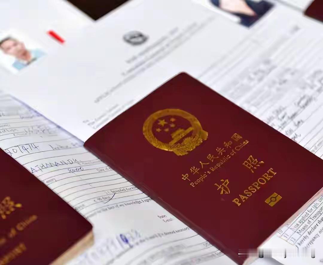 查了一下负责运营中国驻印签证中心，帮印公民办赴华签证的VFSGlobal法律主