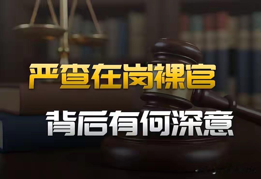 天网2026雷霆收网！清查官员资产，封杀裸官退路，守护国家根本！就在前几天，“