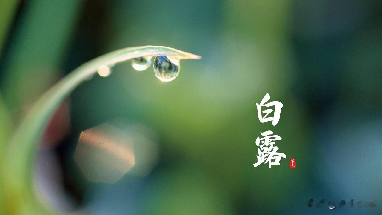 9月7号白露，今年冬天会把人热晕吗？答案来了转眼之间，秋天的脚步越来越近，