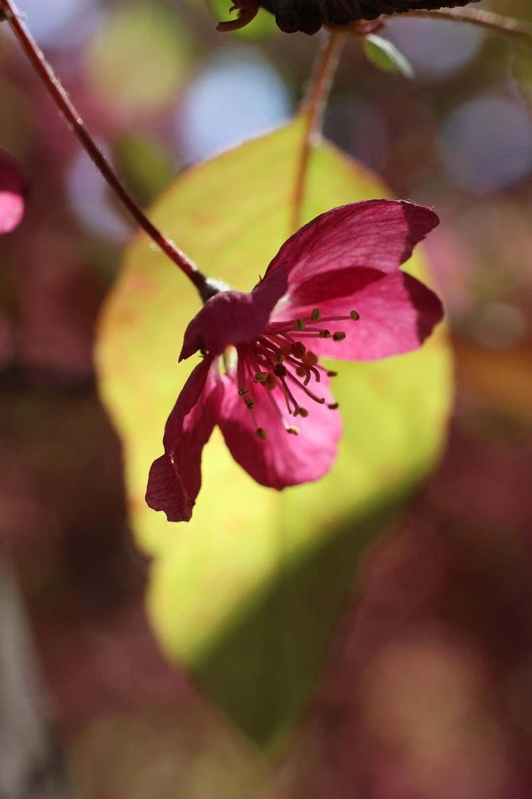 那个男人不好色？我觉得身边的男人都比较好色。而且都是那种“别人家好”的那种。所以