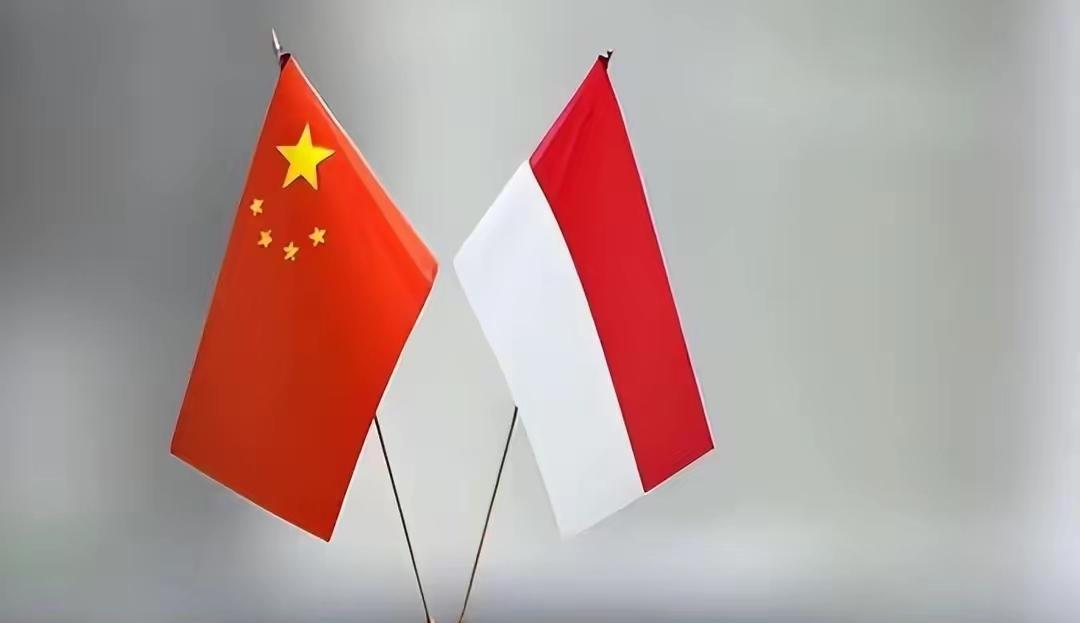 印尼拿到中国海空军装备后急于在加沙与以军较量一下彰显大国实力据美国《国家利益