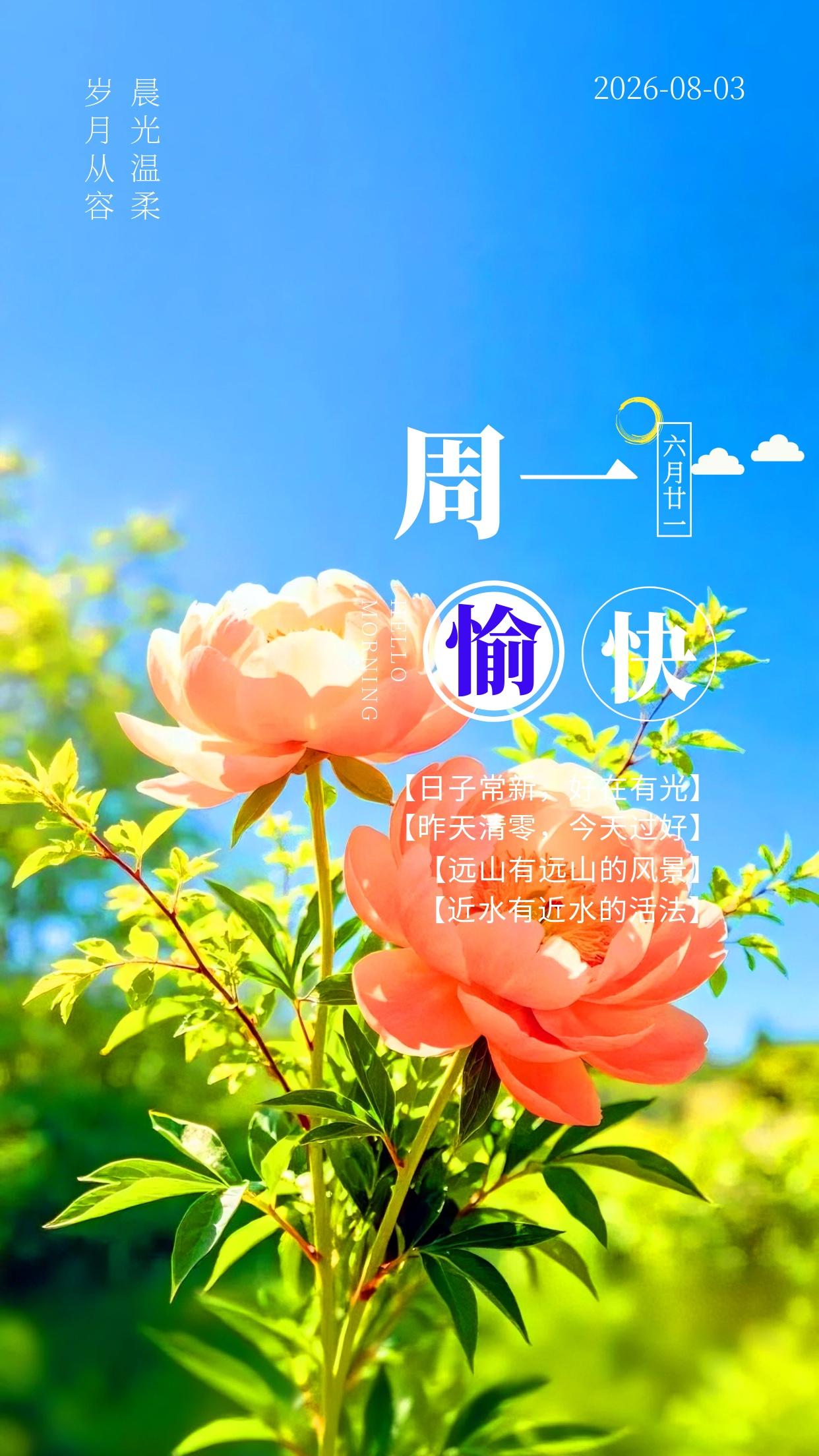 8月3日周一早安☀️！崭新一周正式开启，伴着夏日清爽晨风开启元气满满的一天。告别