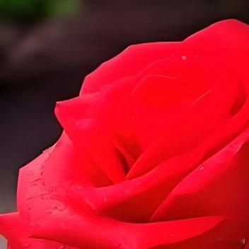 每一个人心里都有那么一段故事，无法诉说，只能在深夜里回忆，但是人总是要醒来的，在