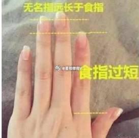 食指太短的面相食指太短也暗示着一个人容易被欺负。因为食指太短的人，是一个性格非常软弱的人，这样的人在