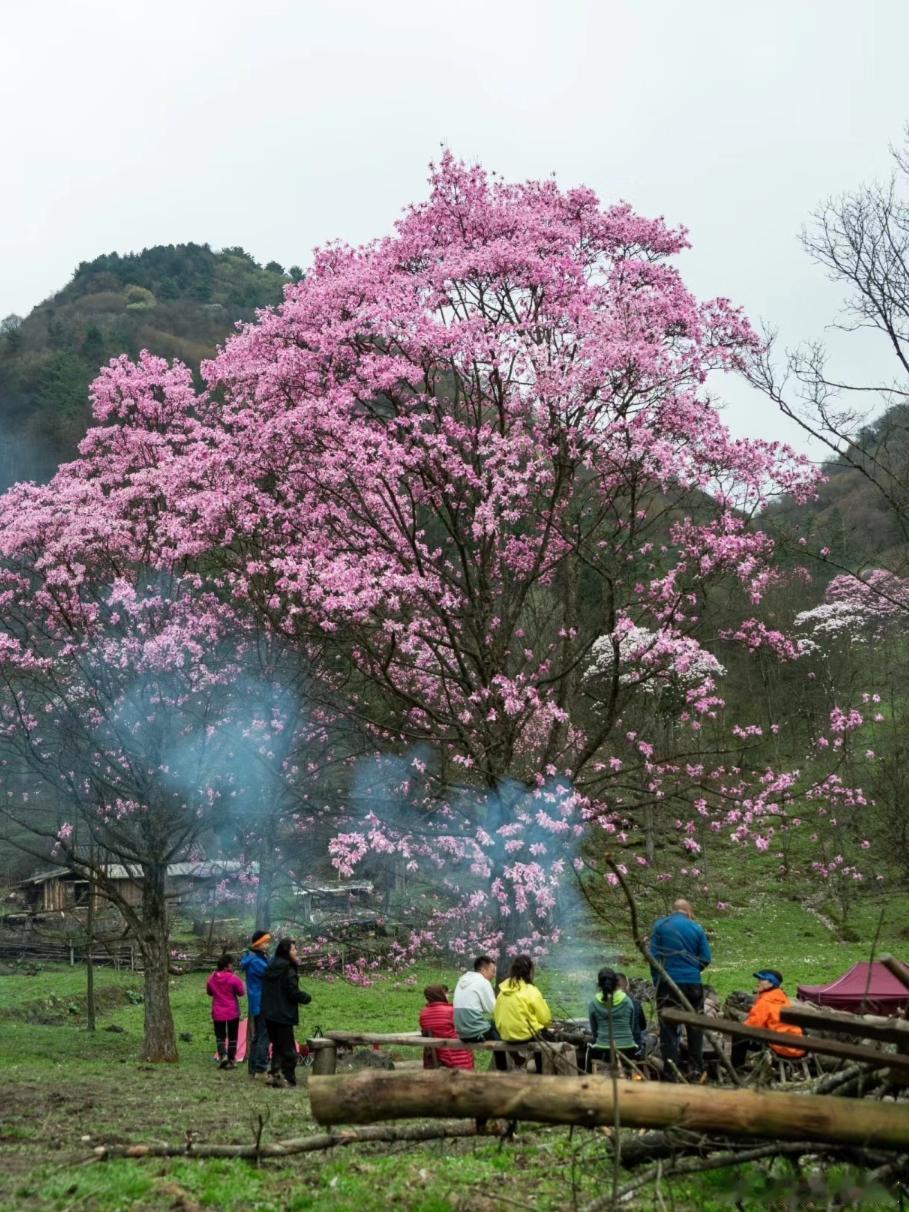 换个地方看人间烟火，去哪不重要，重要的是要有春天的味道～​​​