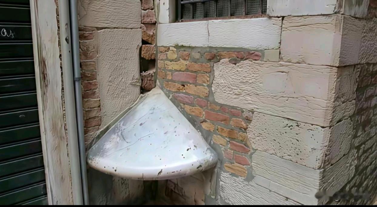 国外专门给小动物避雨的地方