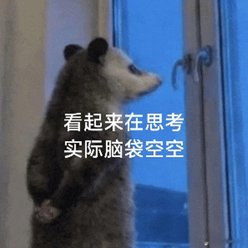负鼠表情包｜背手负鼠