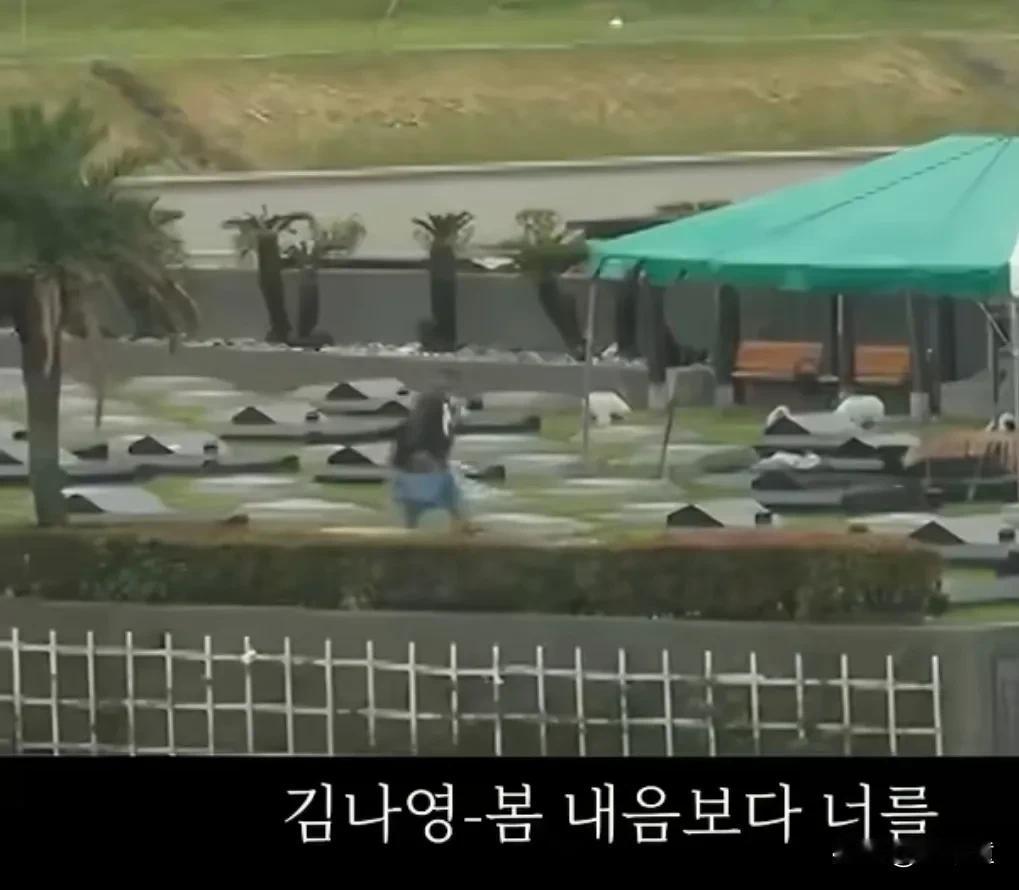 没想到吧！作秀与做综艺之间，具俊晔选择后者！！韩国一台综艺，在大S去世一周年热