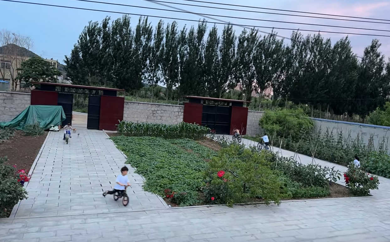 还是这种大院子住着舒服