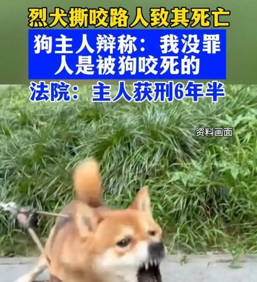 “决不能轻饶！”河南一烈犬，屡次咬人主人却不管不顾。撕咬路人致其当场死亡，获刑6