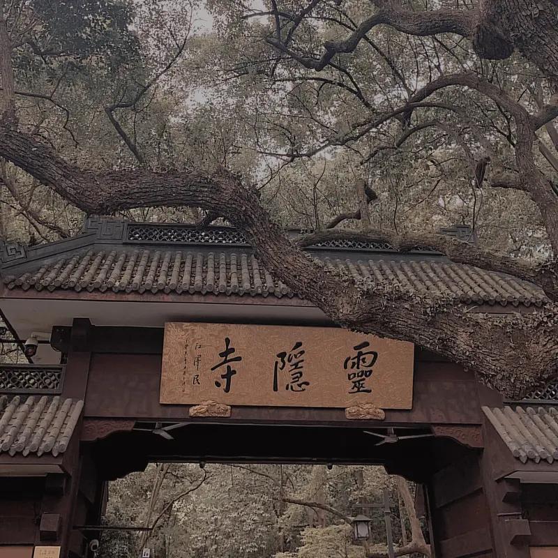 灵隐寺被38万鸽王上了一课灵隐寺被38万鸽王上了一课：免费门票考验人性，新规一