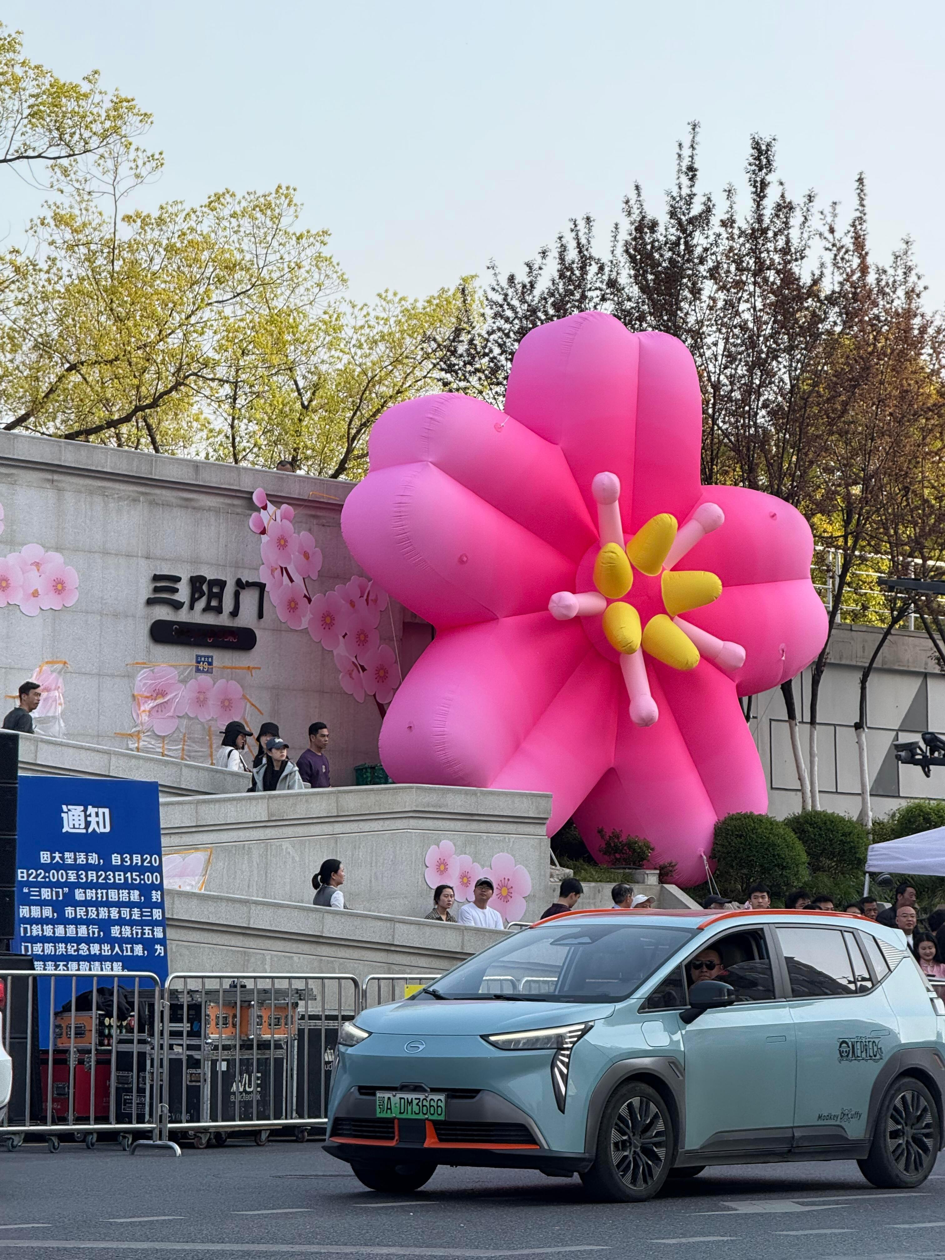 樱花季和武汉马拉松最配！2025年汉马，配合樱花，好棒棒～汉口江滩三阳门已经在各