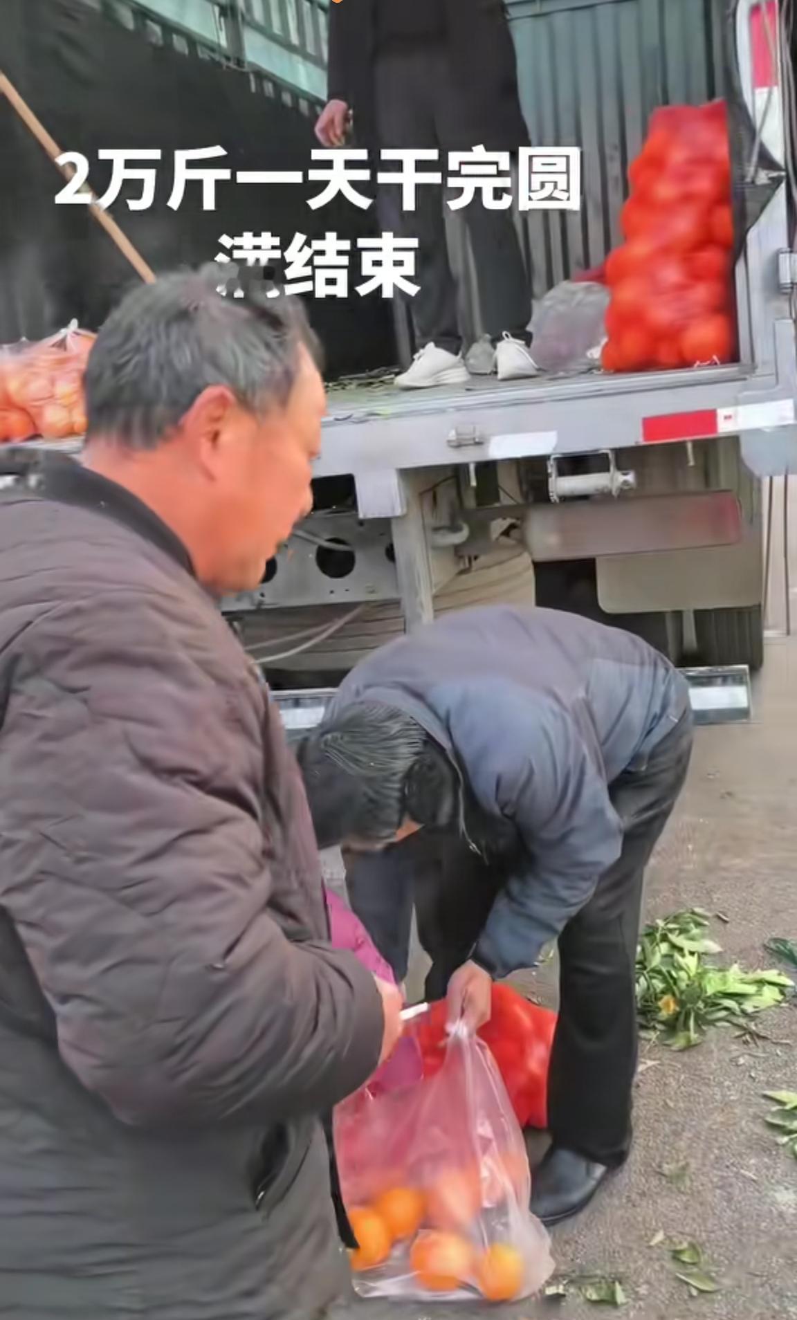 现在货车司机都开始自己去水果产地拉货自己卖了。评论区有一位司机说他13米花栏大