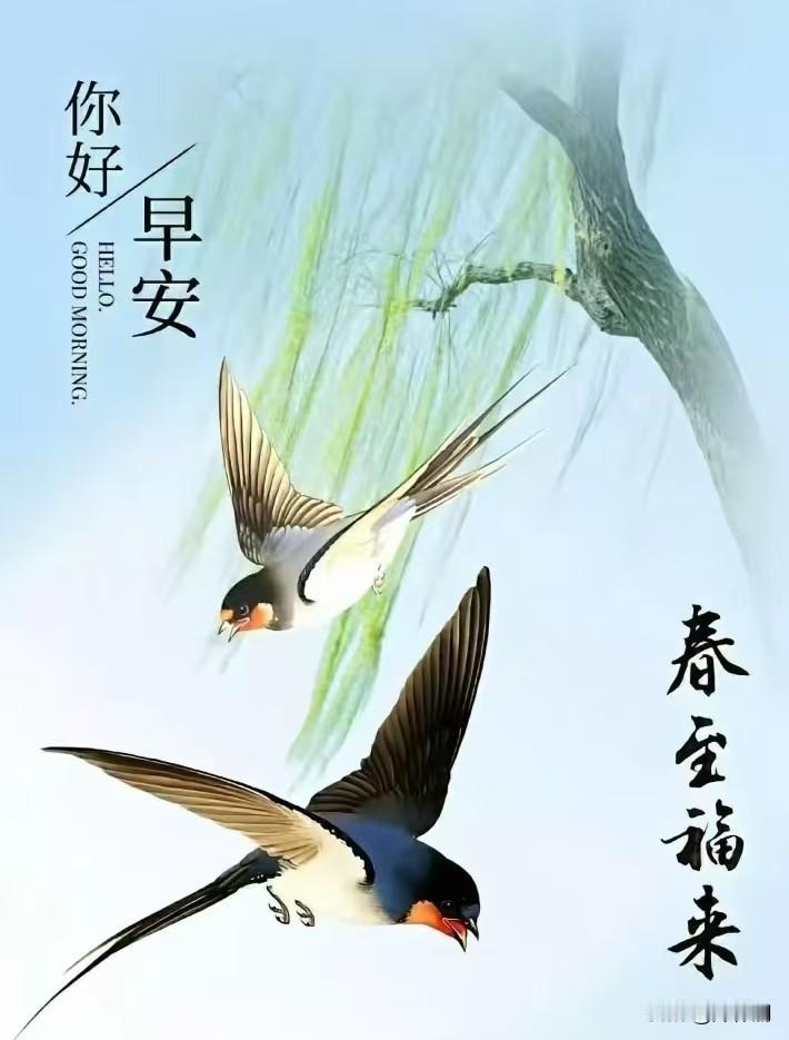 七律·秋望雁字行行秋意重，霜风簌簌客衣单。残荷立水销香骨，老柳垂堤敛翠纨