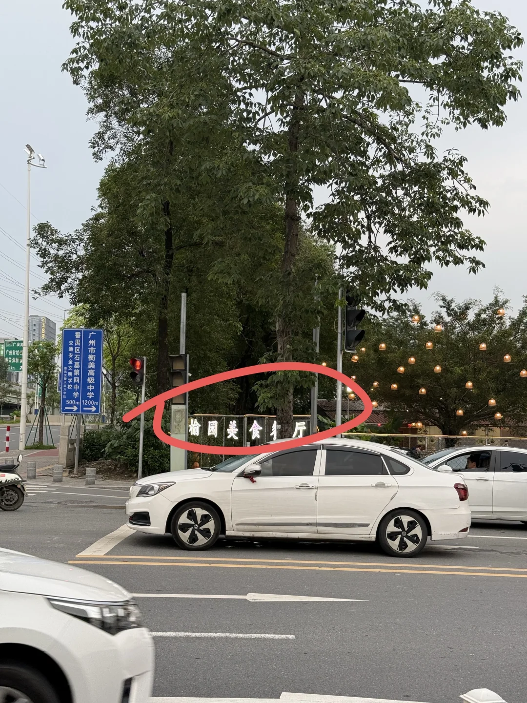 突然爱上了番禺……