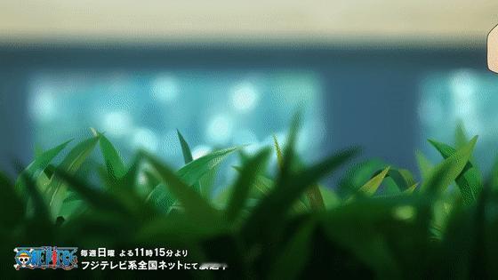 海贼王海贼王怎么最近好多人在说乌索普会死啊路飞一路上揍了多少boss，一个都没