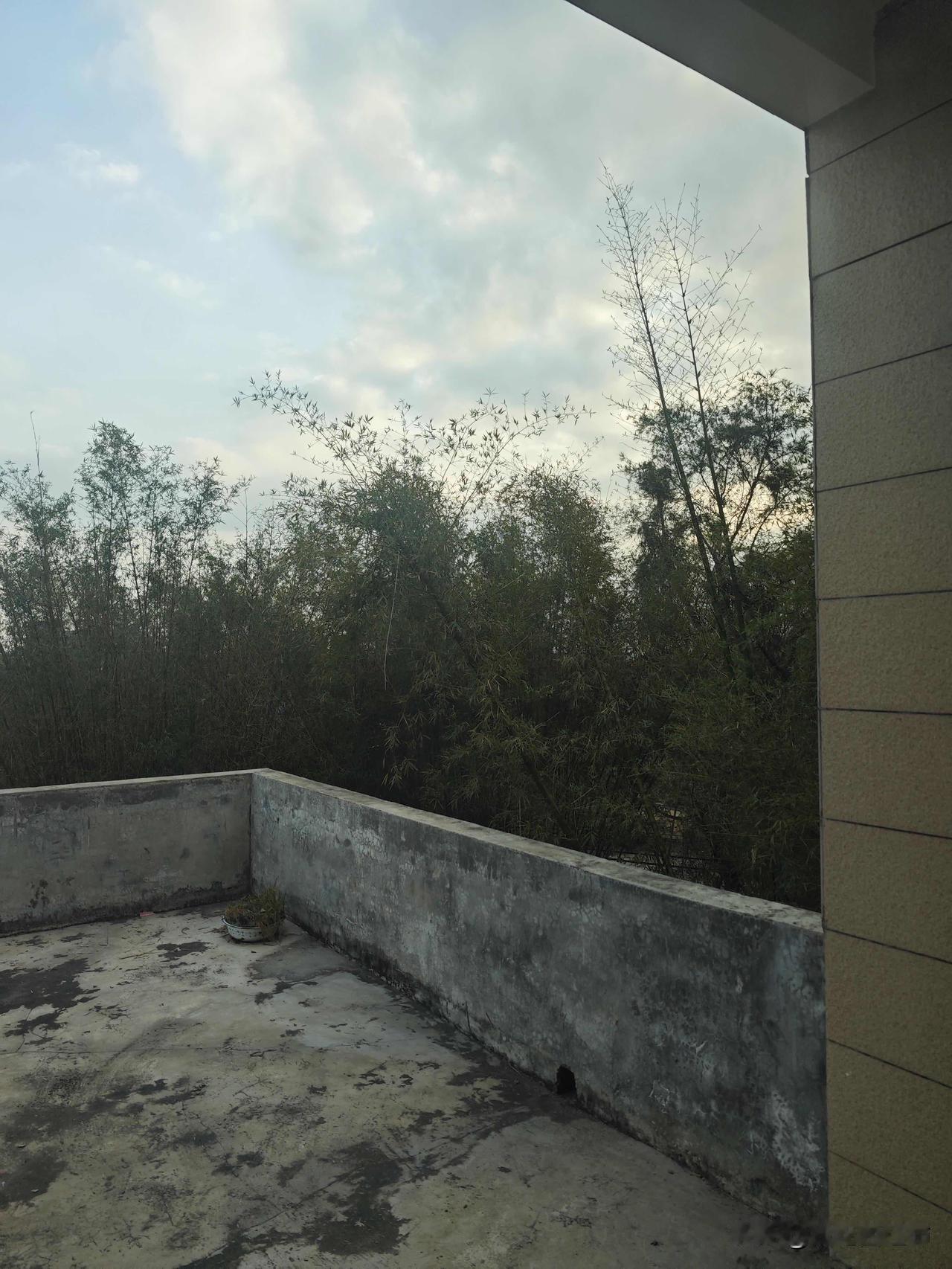 低学历的女孩子为啥都嫁那么早啊？说实在，即将奔三的我，对这种事理解越来越深刻。