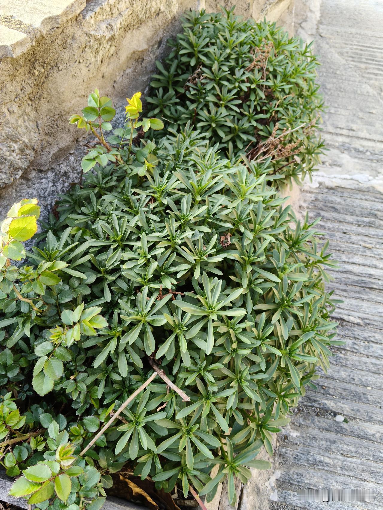 今天看到好几篇文章，让人们囤粮囤油、囤洗洁精、洗发水、卫生纸……其实，该囤