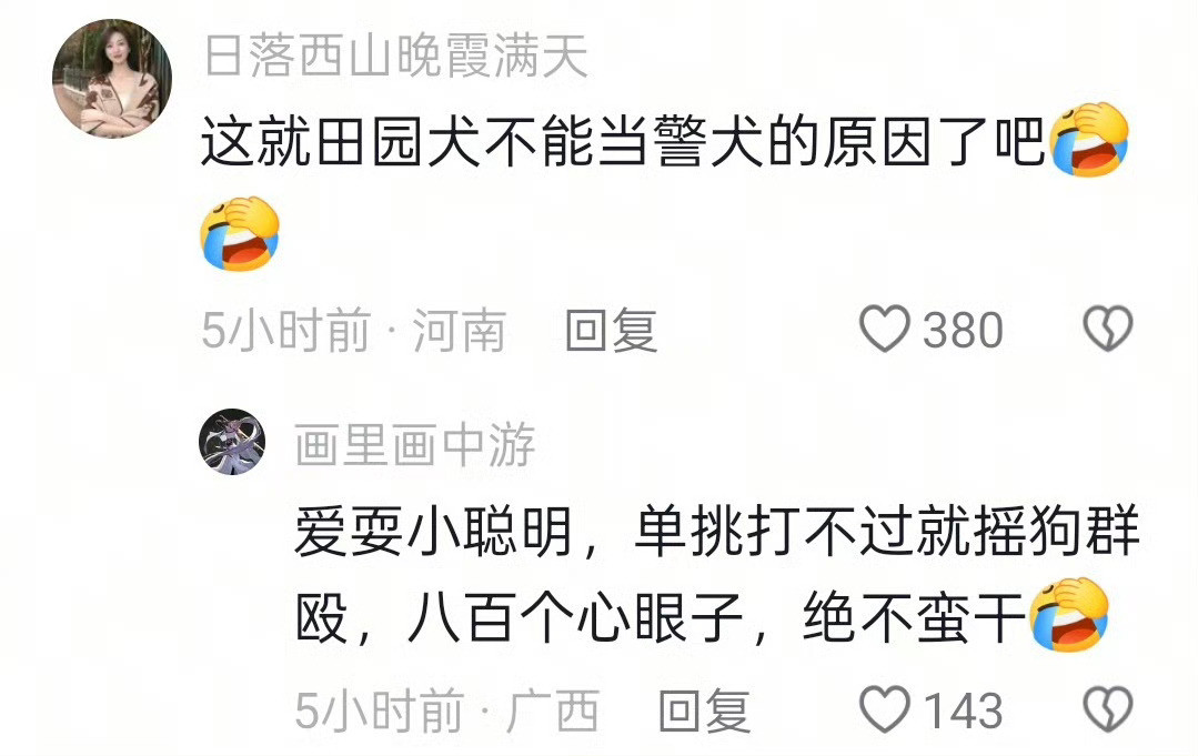 狗狗看到刀后忽然忙了起来人情世故这块，被田园犬狠狠拿捏了
