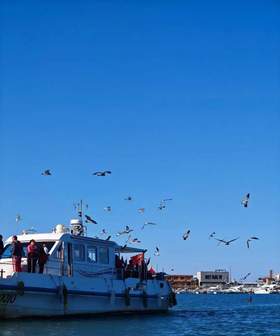 小区女人把男保姆哄上床又哄到民政局，结果人家拎包跑路，她抱着离婚证在楼道里哭到半