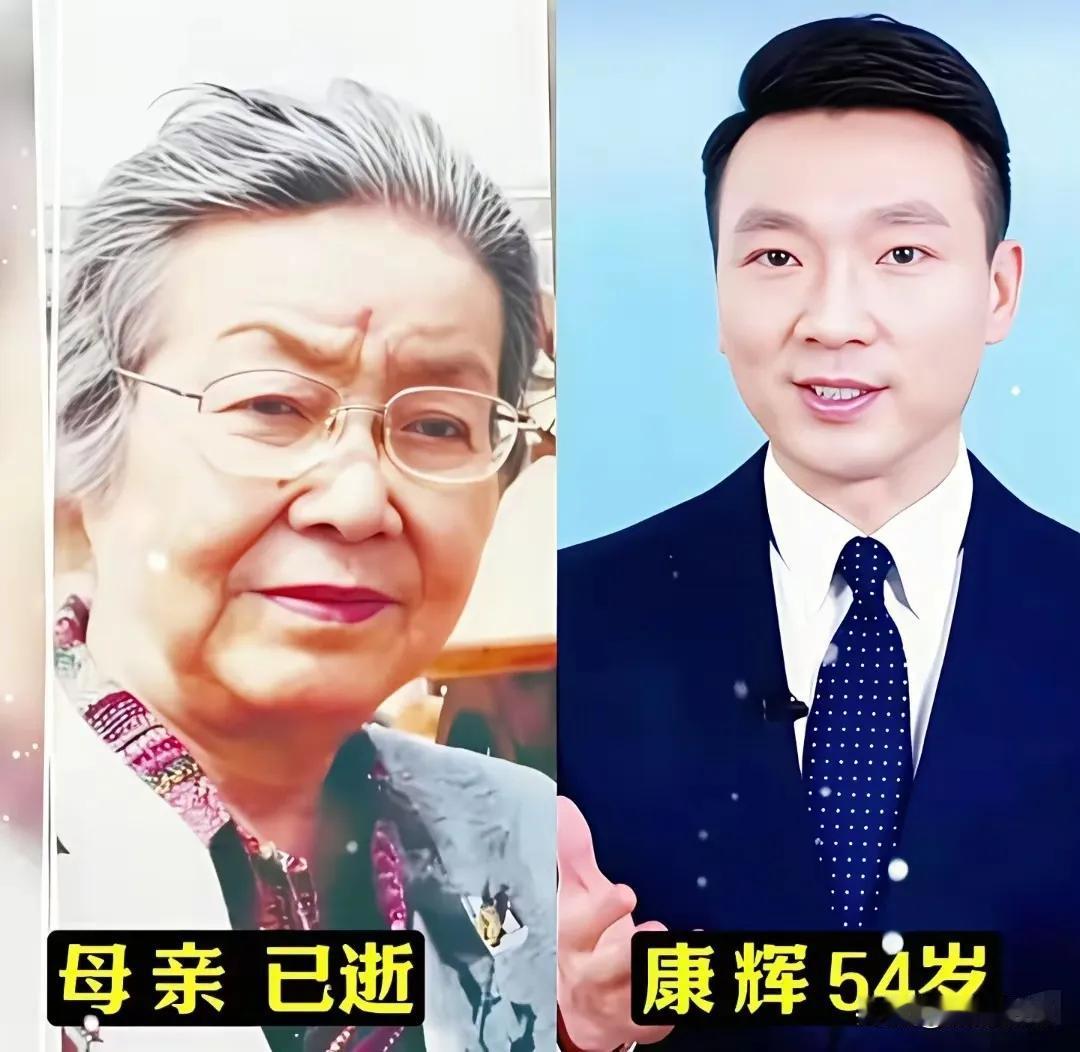 康辉的母亲。朱军的父亲。朱迅的父亲撒贝宁的父亲。尼格买提的父亲。康辉的