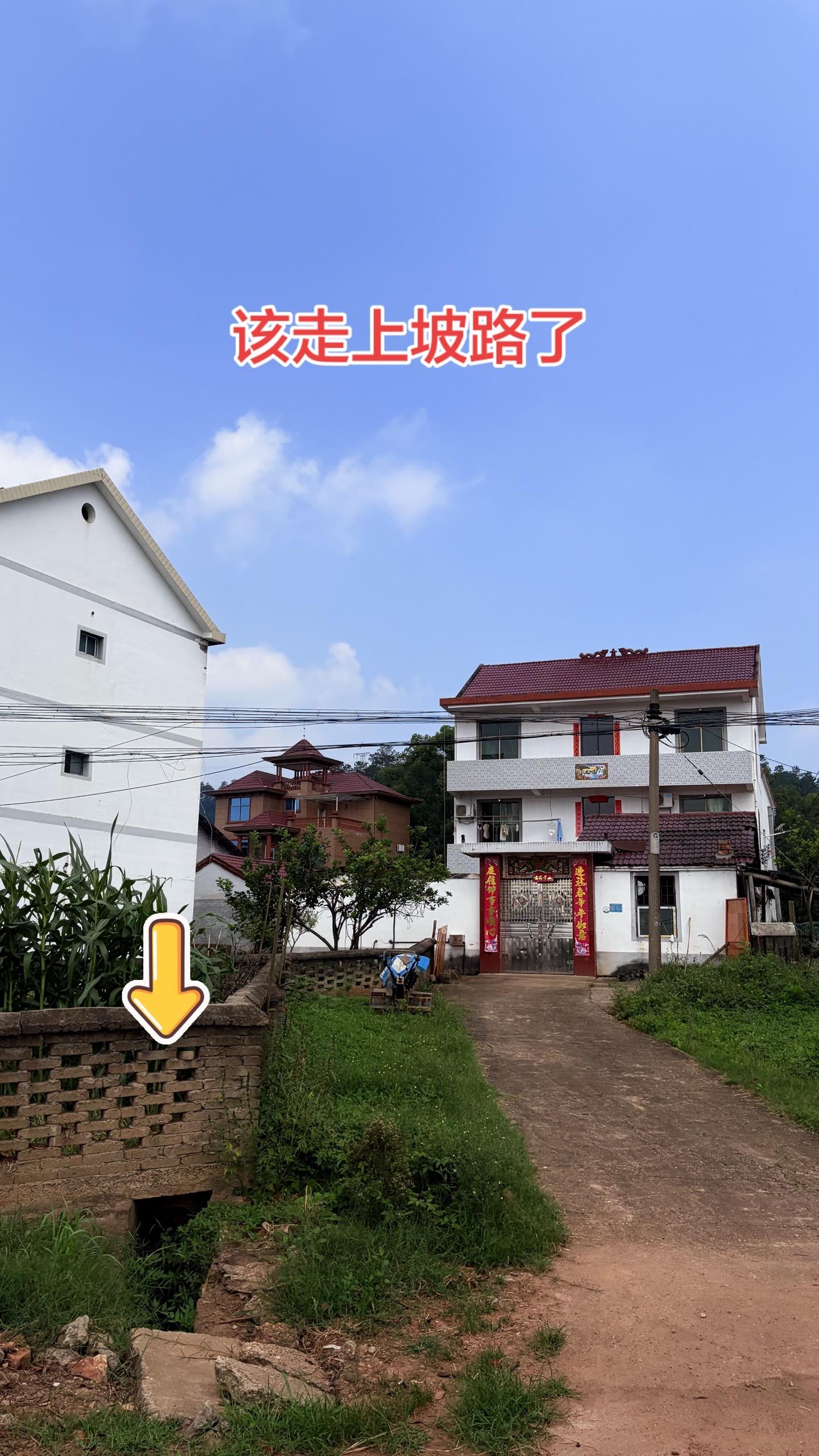 农村的房子不只是家更是根 老家的宅基地 老宅基地建房