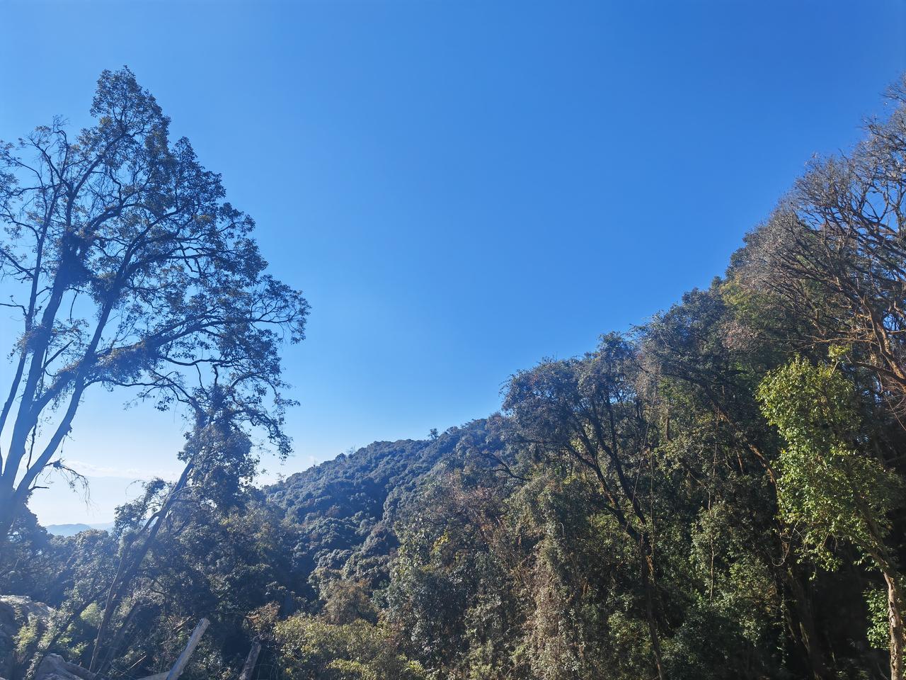 治愈系风景，草原必须拥有姓名！草原就像大地给天空写的一封浪漫情书，白云是灵动的标