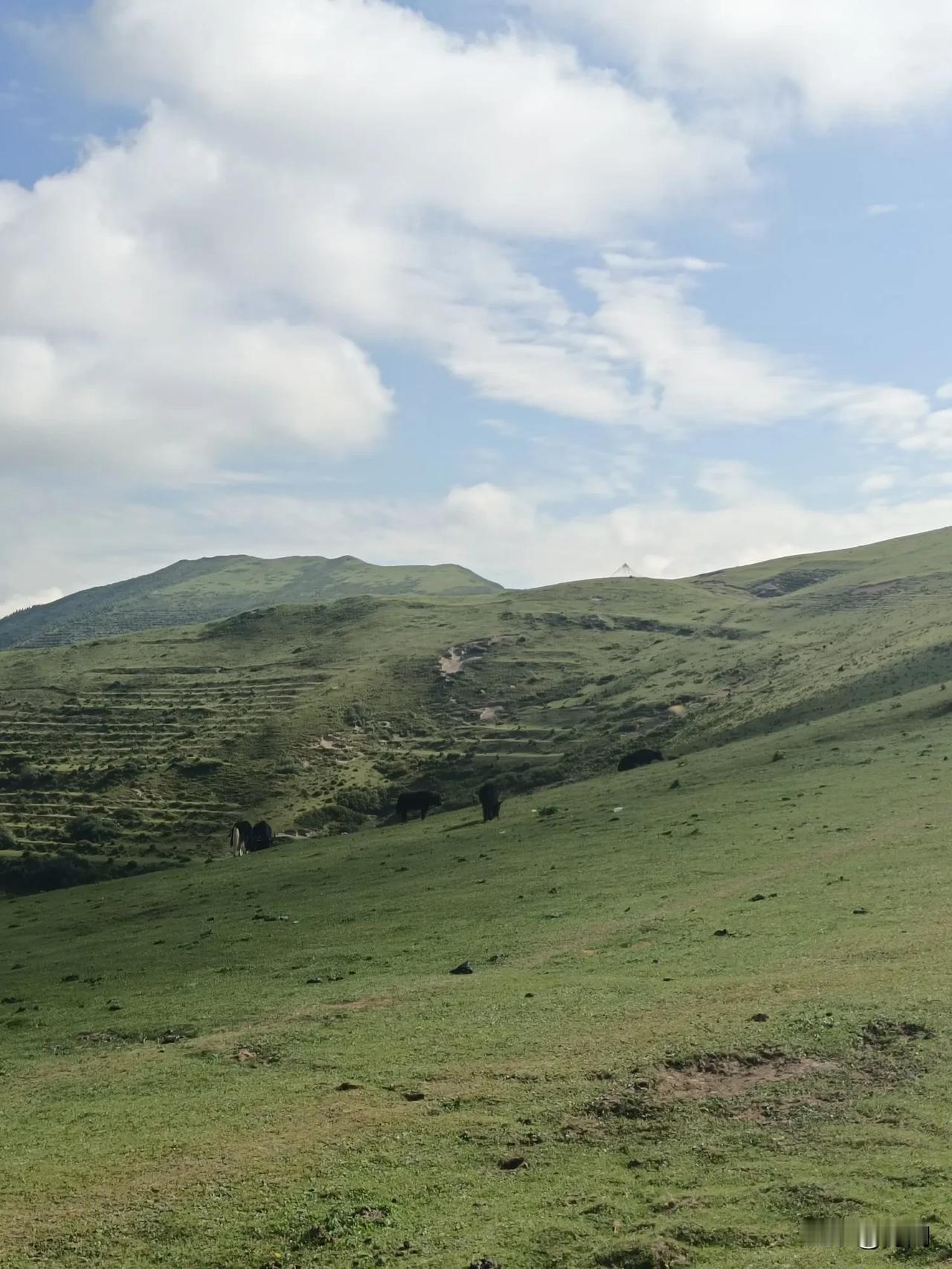 松潘的塔坪山，简直是当地最有性价比的景区，完全免费，就是要耗费点体力！建议早上8