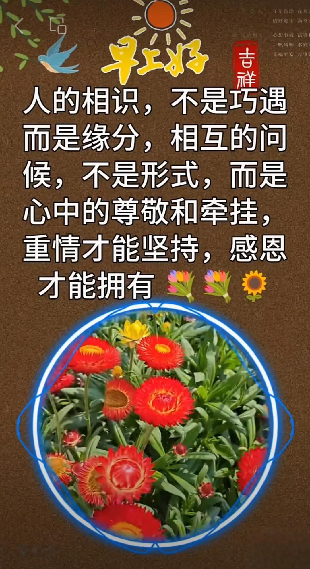 夏天美麗的清晨，請收下我的祝福，願你與陽光同行，擁抱自己的健康，享受與快