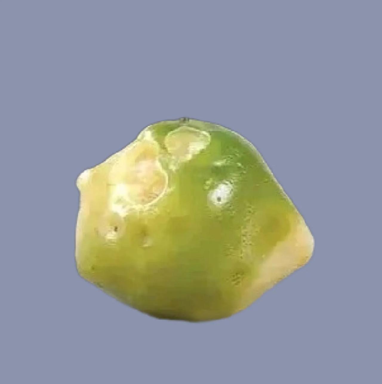 瞅瞅奇石中的奇石（60）——缺憾，让阳光洒照灵魂深处我问deepseek，这