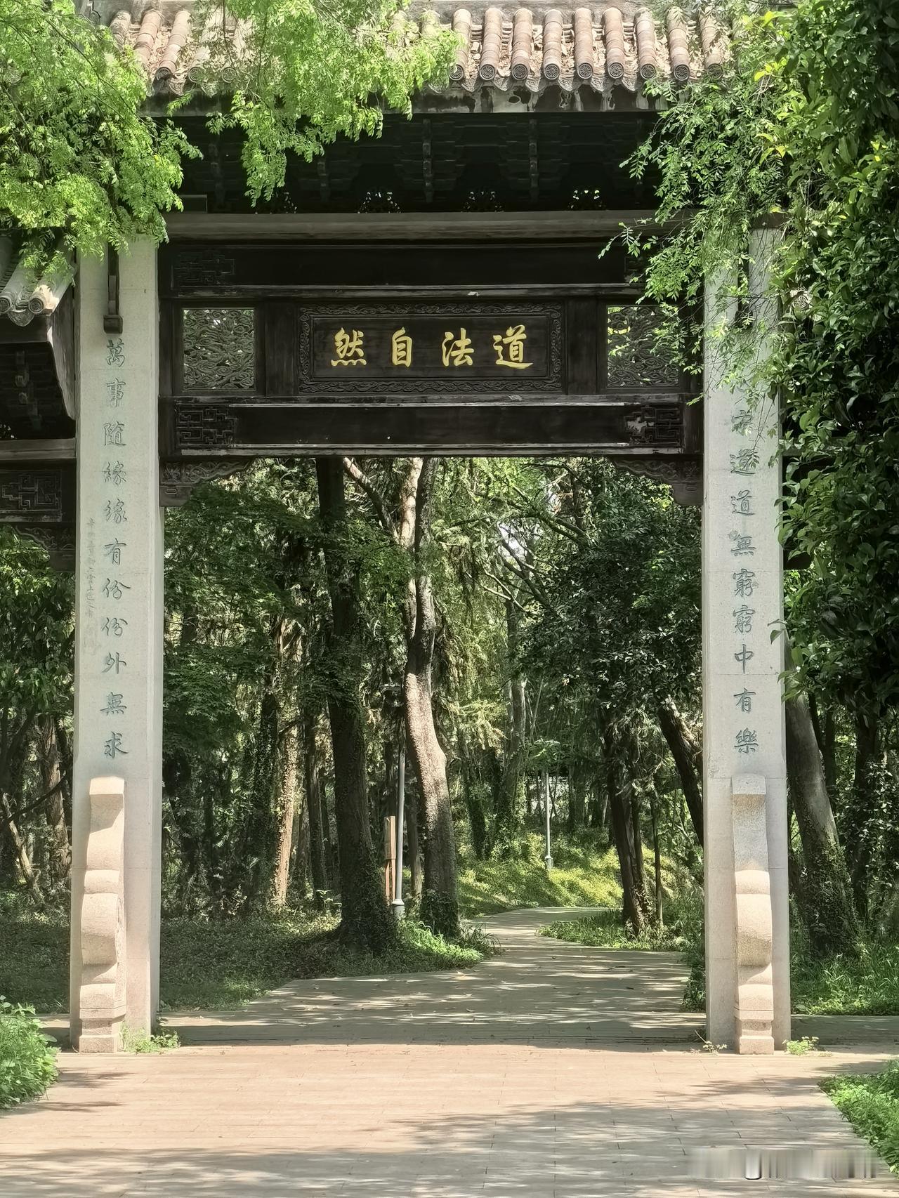 苏州一些小众景点还是值得去看的，比如何山公园：1．山不高，其实算是个土坡，有汽