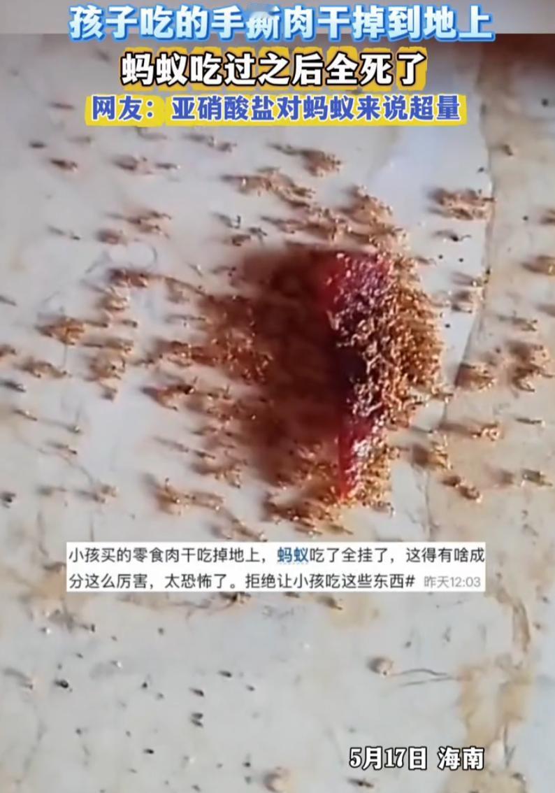 海南，一位妈妈一觉醒来看到满地都是死蚂蚁吓了一跳，再仔细一看，蚂蚁都是吃了掉在地
