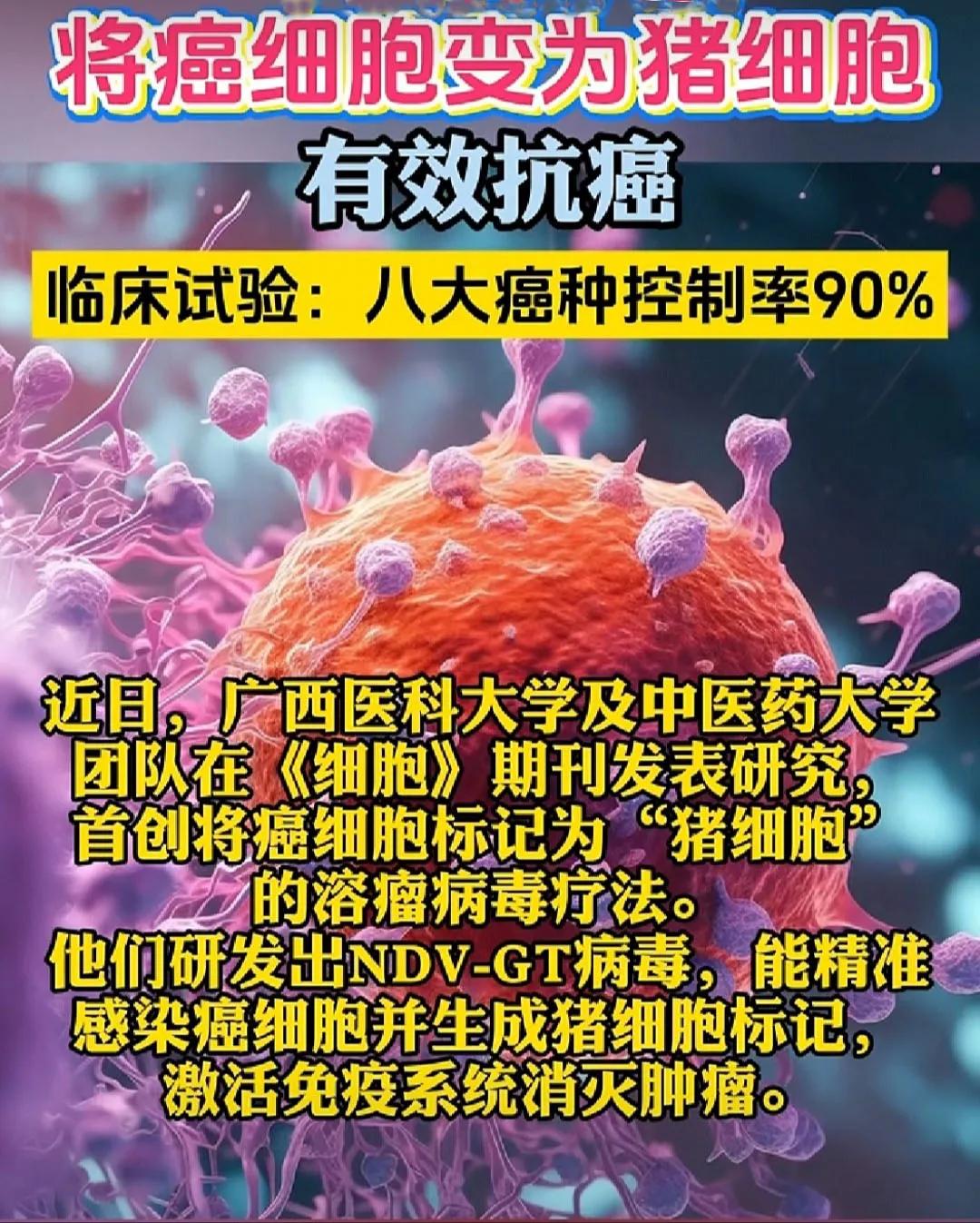 将癌细胞转变为猪细胞，然后激活免疫系统将其杀灭——这是广西医科大学及中医药大学的