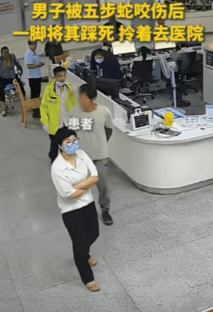 这大叔是个狠人！浙江，男子不慎被五步蛇咬了，竟然不想着跑，反而冲上去一脚将蛇踩死