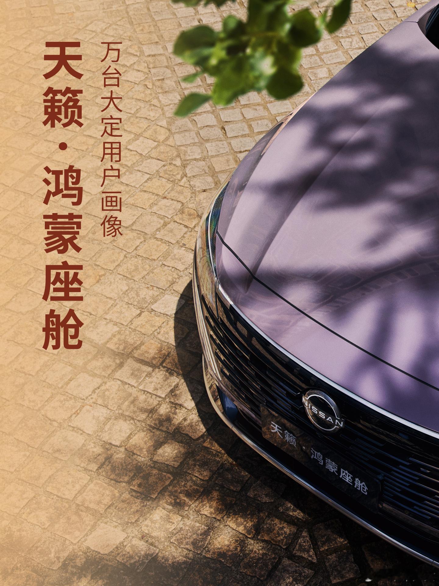 天籁鸿蒙座舱首批万台订单的车主画像一出来，显示49%都是年轻人，其实一点都不意外