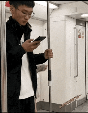 小姐姐：不是要我微信吗？给。
