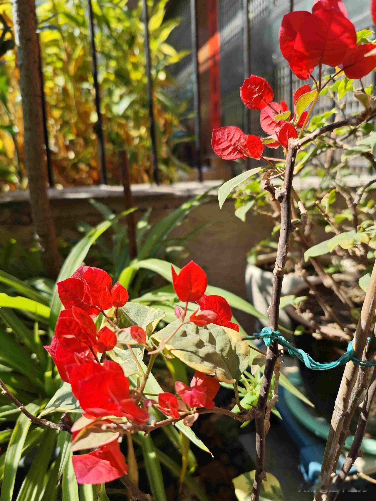 我发现，女人50岁以后，基本上都有这10个共同的特征。我常在菜市场碰见王阿