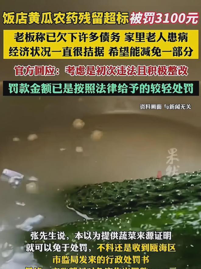 “黄瓜又不是我种的，凭什么罚我？2025年初”饭店老板到菜市场挑选新鲜采