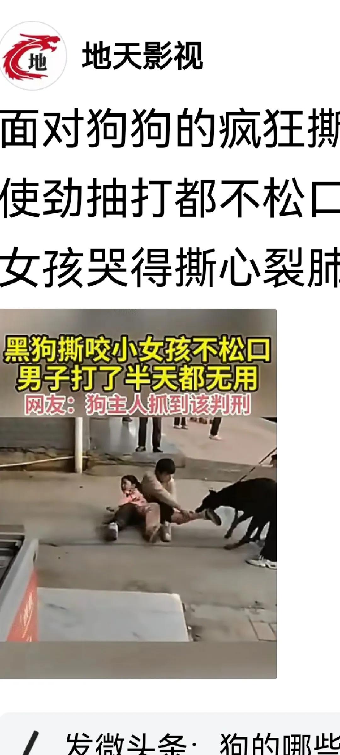 禁养烈性犬,你赞同还是反对?只要是个人都会赞同，除非他不是人才会反对。养烈性犬