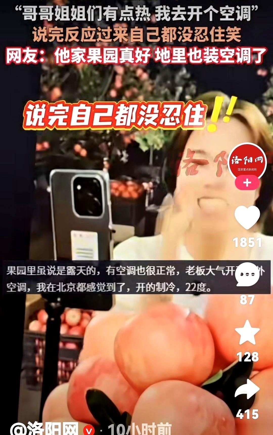 “我们自家果园，现摘现发！”女主播站在一片苹果林前，额头渗出细汗，身后一颗颗红苹