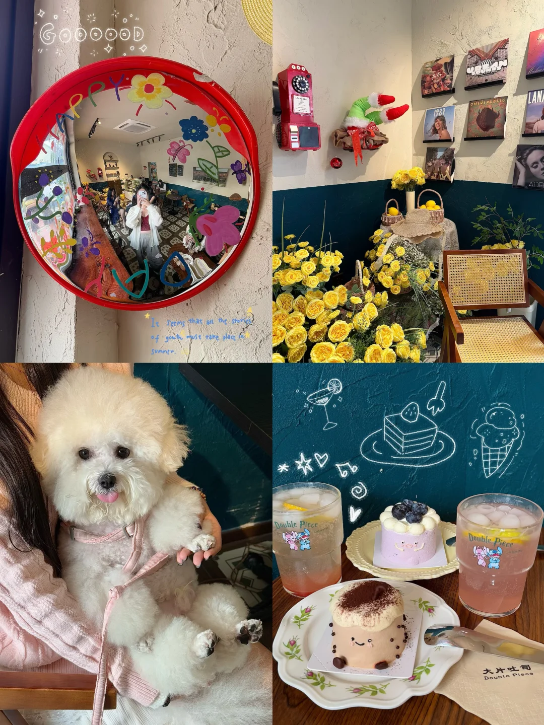 常州漂亮下午茶🍰宠物友好🐕