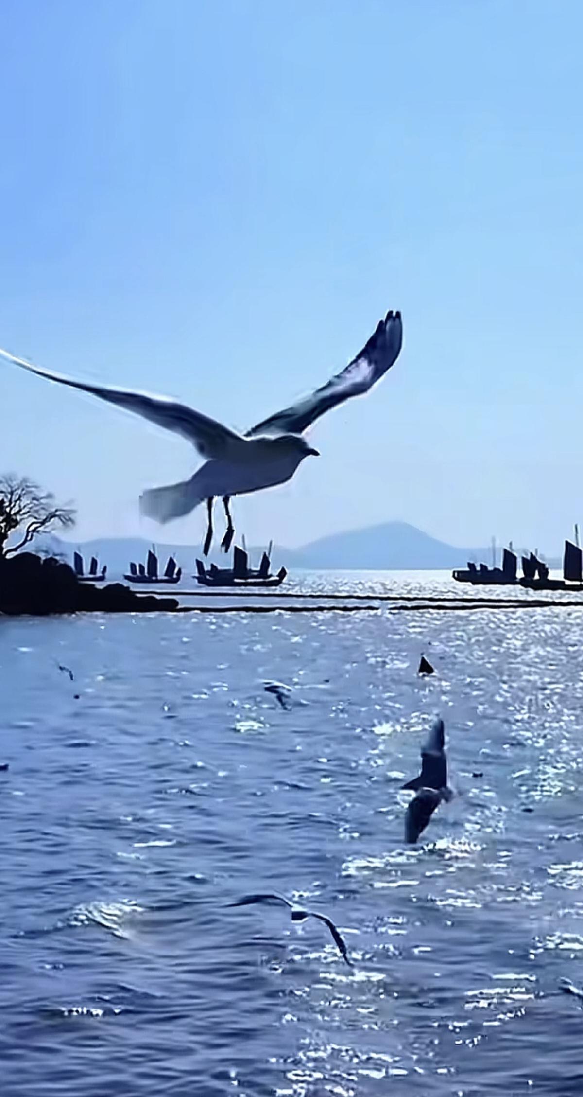 ​到苏州就走不动道了​这应接不暇的湖光山色​这晒过暖阳的轻轻柔柔的风​拂过