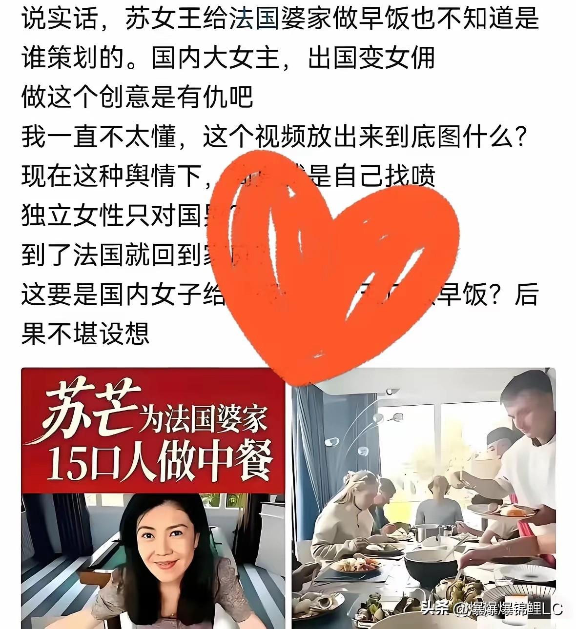 苏女仆那段跨国婚姻，最近在网上闹得沸沸扬扬，看着真让人唏嘘。当初图个新鲜劲儿