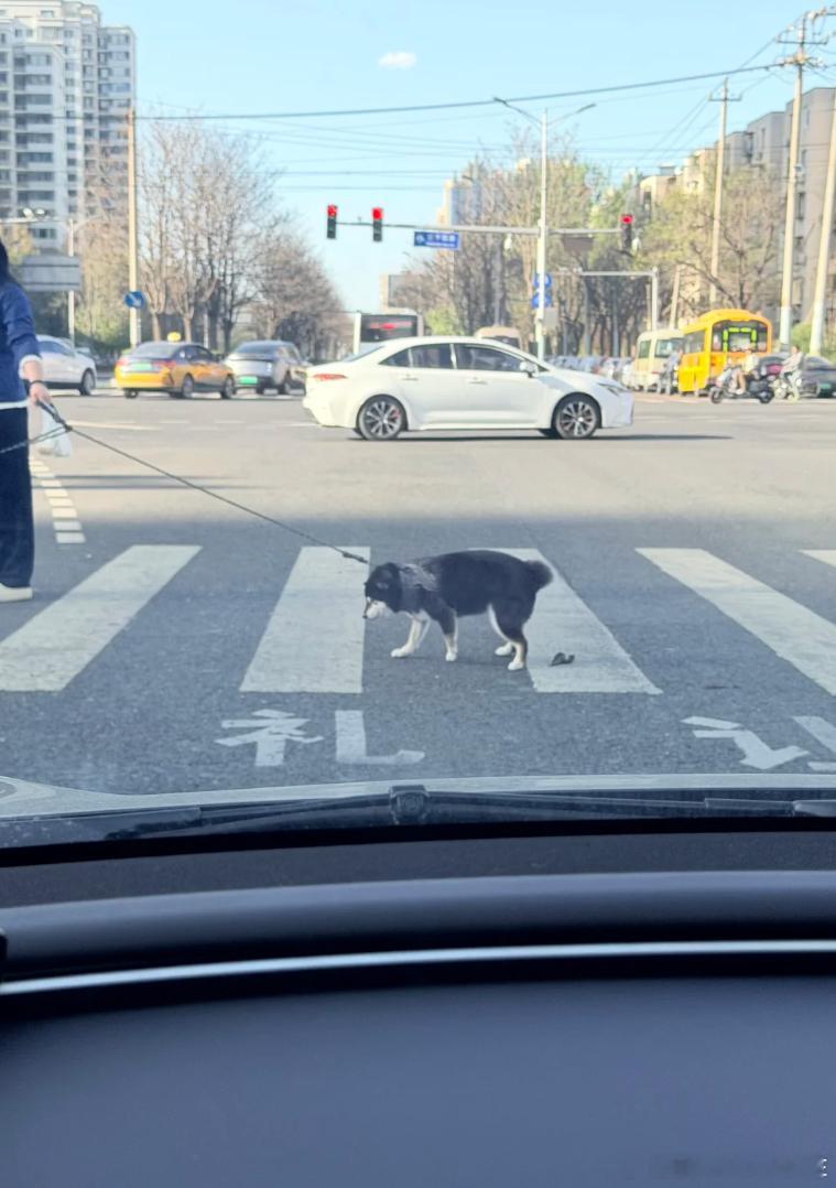 这是不是就有点不地道了！