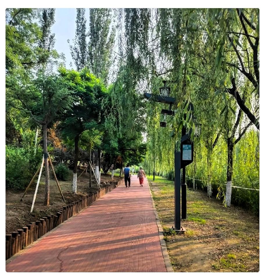 发现一个奇怪的现象，就是许多得了糖尿病的人，无论是男人还是女人，两条腿会变得